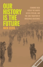 Capa do artigo Our History Is The Future