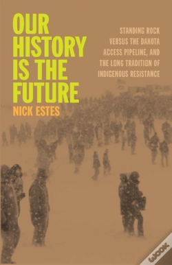 Capa do artigo Our History Is The Future