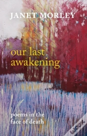 Capa do artigo Our Last Awakening
