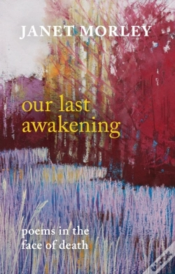 Capa do artigo Our Last Awakening