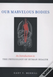 Capa do artigo Our Marvelous Bodies