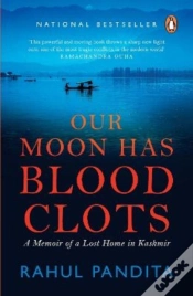 Capa do artigo Our Moon Has Blood Clots