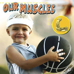 Capa do artigo Our Muscles