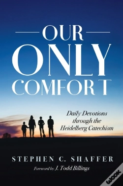 Capa do artigo Our Only Comfort