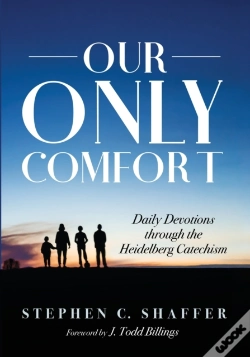 Capa do artigo Our Only Comfort