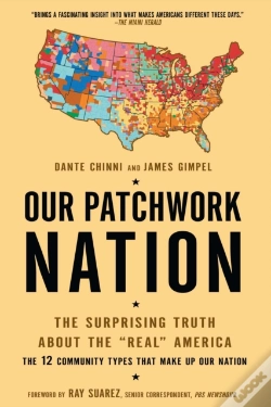 Capa do artigo Our Patchwork Nation