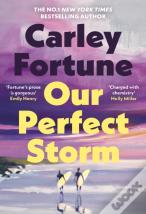 Our Perfect Storm