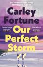 Our Perfect Storm - Preview