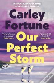 Capa do artigo Our Perfect Storm