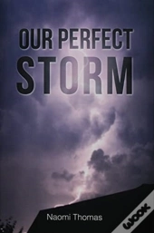 Our Perfect Storm