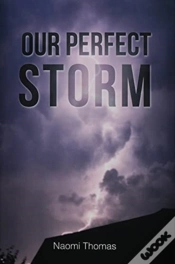 Capa do artigo Our Perfect Storm