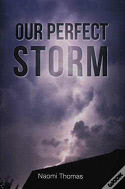 Capa do artigo Our Perfect Storm