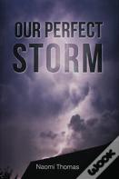 Our Perfect Storm