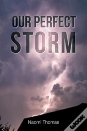 Capa do artigo Our Perfect Storm