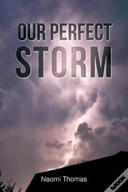Capa do artigo Our Perfect Storm