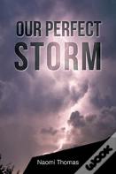 Our Perfect Storm