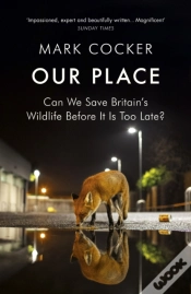 Capa do artigo Our Place