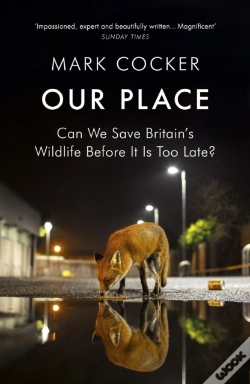Capa do artigo Our Place