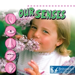 Capa do artigo Our Senses