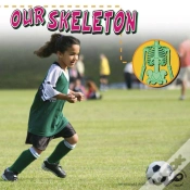 Capa do artigo Our Skeleton