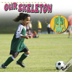 Capa do artigo Our Skeleton