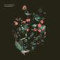 Our Spaces - Vinil - Preview