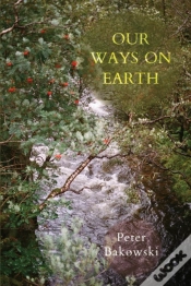Capa do artigo Our Ways On Earth