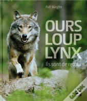 Ours, Loup, Lynx, Ils Sont De Retour