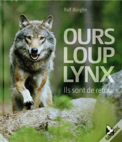 Capa do artigo Ours, Loup, Lynx, Ils Sont De Retour