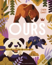 Capa do artigo Ours
