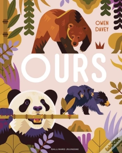 Capa do artigo Ours