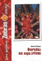 Oursins En Aquarium - Preview