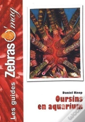 Oursins En Aquarium
