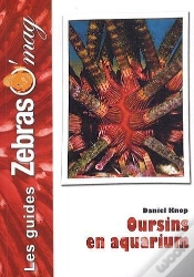 Capa do artigo Oursins En Aquarium