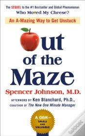 Capa do artigo Out Of The Maze