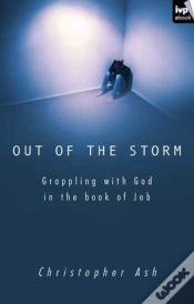 Capa do artigo Out Of The Storm