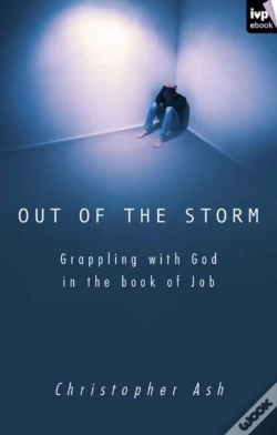 Capa do artigo Out Of The Storm