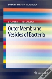 Outer Membrane Vesicles Of Bacteria