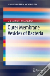 Capa do artigo Outer Membrane Vesicles Of Bacteria