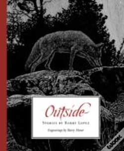 Capa do artigo Outside