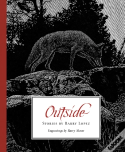 Capa do artigo Outside