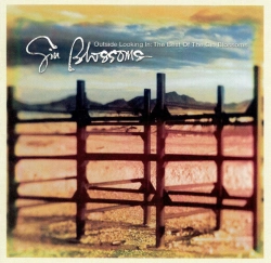 Capa do artigo Outside Looking In: The Best Of The Gin Blossoms - CD