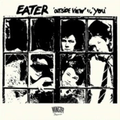 Capa do artigo Outside View/You - Vinil