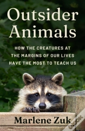 Capa do artigo Outsider Animals
