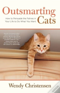 Capa do artigo Outsmarting Cats