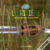 Ouvre Les Yeux Sur La Rivière