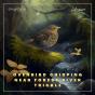 Ovenbird Chirping Near Forest River Trickle - Preview