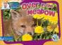 Over In The Meadow - Preview