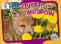 Over In The Meadow - Preview