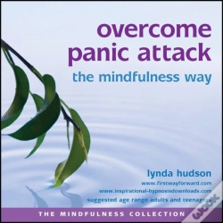 Capa do artigo Overcome Panic Attack The Mindfulness Way